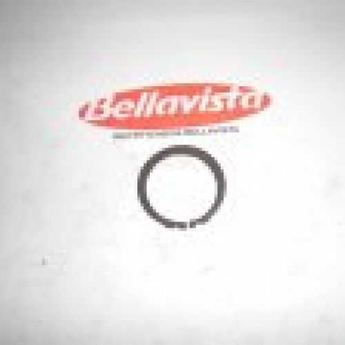 CIRCLIP DE SEGURIDAD E 22 "SEEGER"