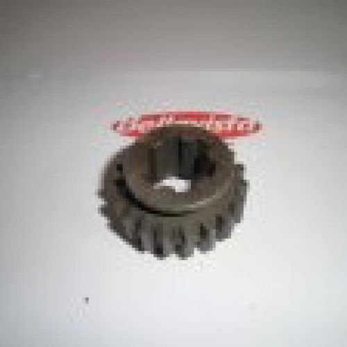 PIÑÓN DESPLAZABLE 1ª Z 19    ALPINA (TODOS LOS MODELOS)    LOBITO MK5 125/175 MOD