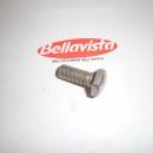 TORNILLO FIJADOR MANILLAR DE PLANCHA, B 155, MERCURIO, ETC