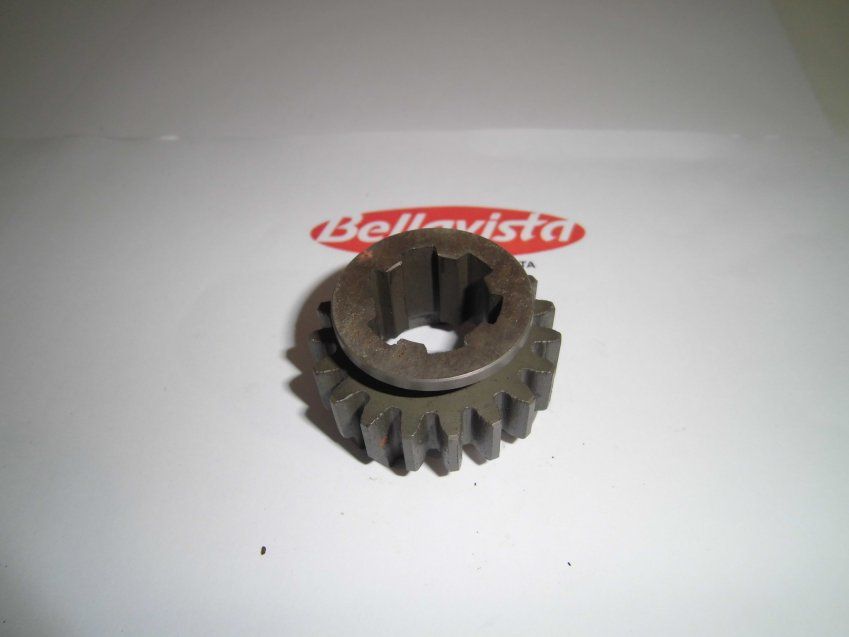 PIÑÓN DESPLAZABLE 1ª Z 19    ALPINA (TODOS LOS MODELOS)    LOBITO MK5 125/175 MOD
