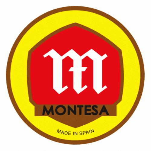 montesalogo